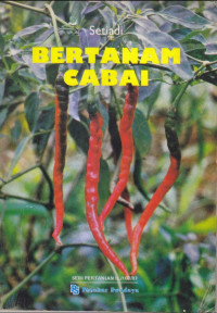 Bertanam Cabai