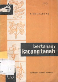 Bertanam Kacang Tanah