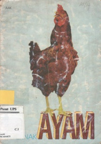 Beternak Ayam