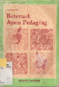 Beternak Ayam Pedaging