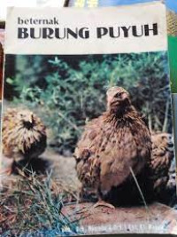 Beternak Burung Puyuh