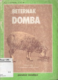 Beternak Domba