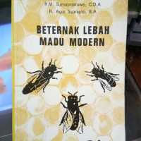 beternak Lebah madu Modern