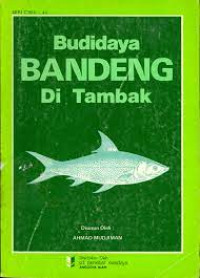 Budidaya  Bandeng Di Tambak