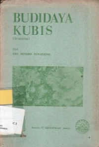 Budidaya Kubis (Brassica)