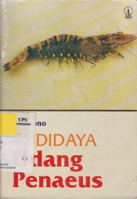 Budidaya Udang Penaeus