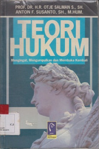 Teori Hukum